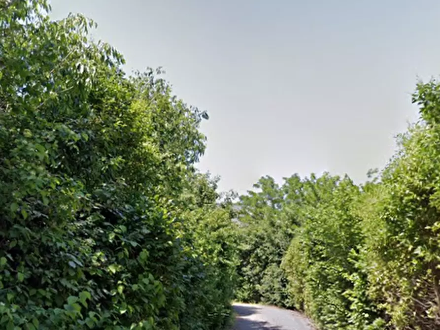 Immagine 5 di Appartamento in vendita  in Via Sant’Agnese a Bologna