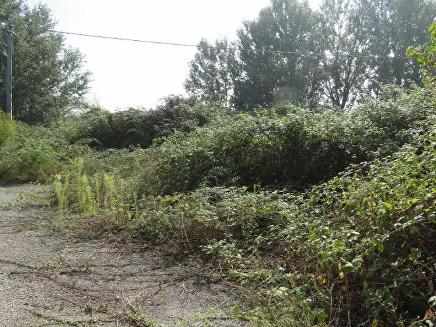 Immagine 5 di Laboratorio in vendita  in Via Boccarona  a Casaleone