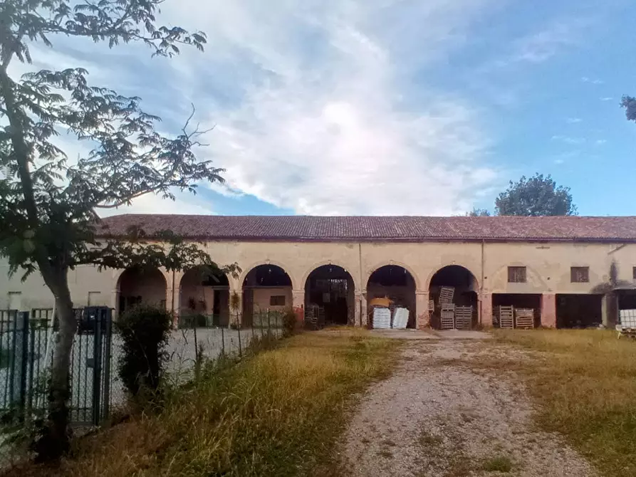 Immagine 5 di Villa in vendita  in Via Albarea a Pianiga