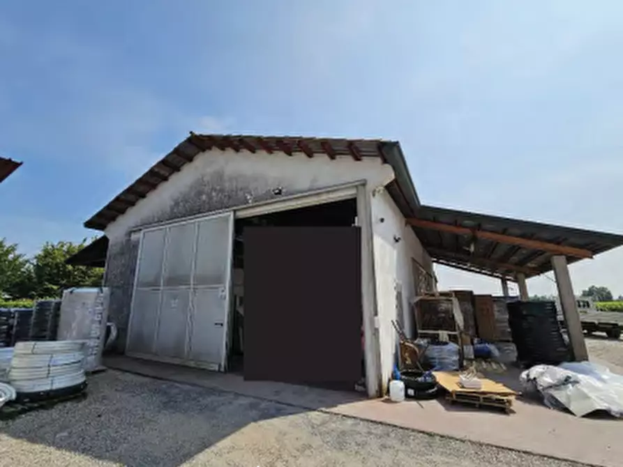 Immagine 8 di Porzione di casa in vendita  in Via Roma  a San Biagio Di Callalta