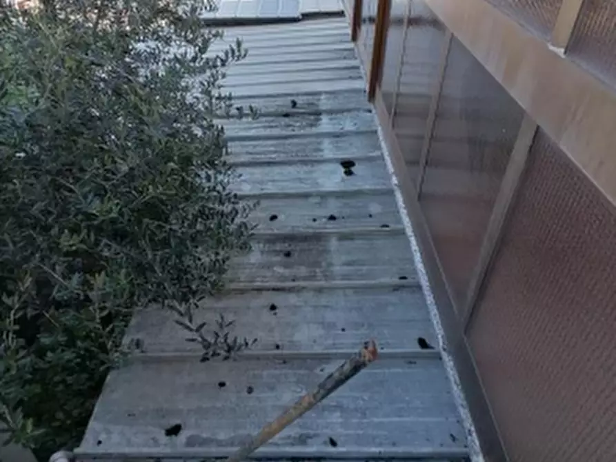 Immagine 9 di Appartamento in vendita  in Via Indipendenza a Montegranaro