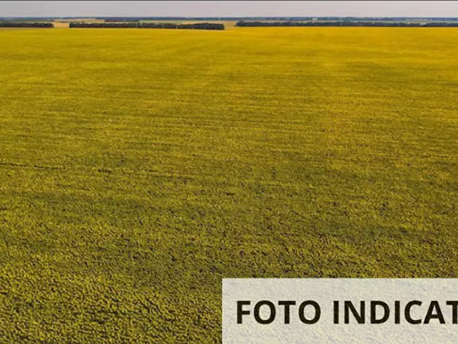 Immagine 12 di Porzione di casa in vendita  in Località Valle Acerreta Valdrè a Marradi