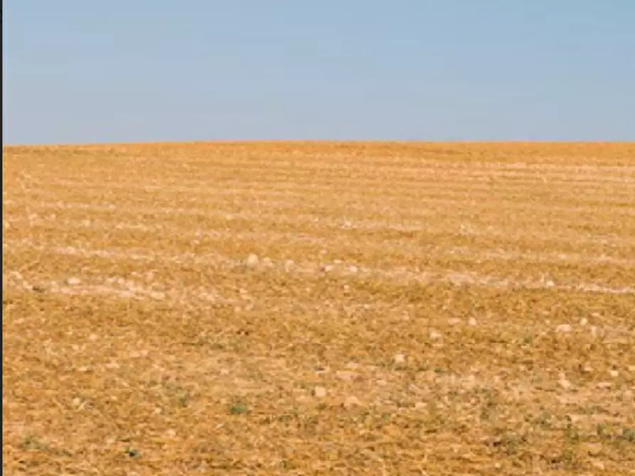 Immagine 14 di Porzione di casa in vendita  in Località Valle Acerreta Valdrè a Marradi