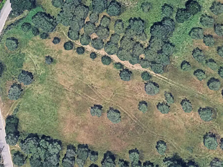 Immagine 1 di Terreno agricolo in vendita  in Via Caprini a Francavilla Al Mare