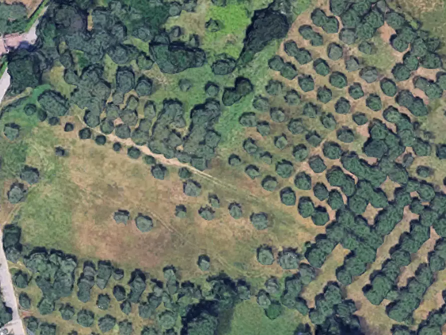 Immagine 2 di Terreno agricolo in vendita  in Via Caprini a Francavilla Al Mare