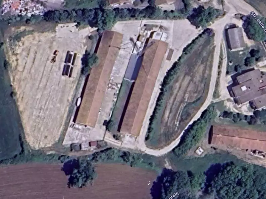 Immagine 13 di Magazzino in vendita  in Strada della Casella a Acquasparta