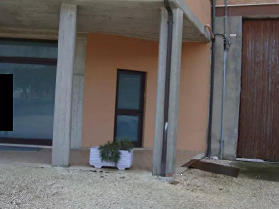 Immagine 4 di Stabile in vendita  in Contrada Solagna a Rapagnano