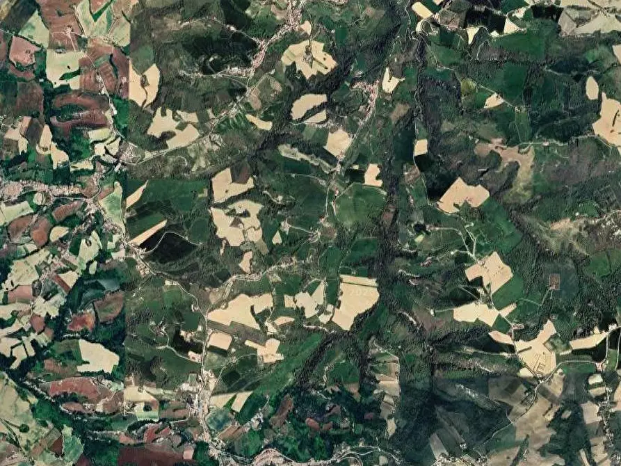 Immagine 13 di Stabile in vendita  in Contrada Solagna a Rapagnano