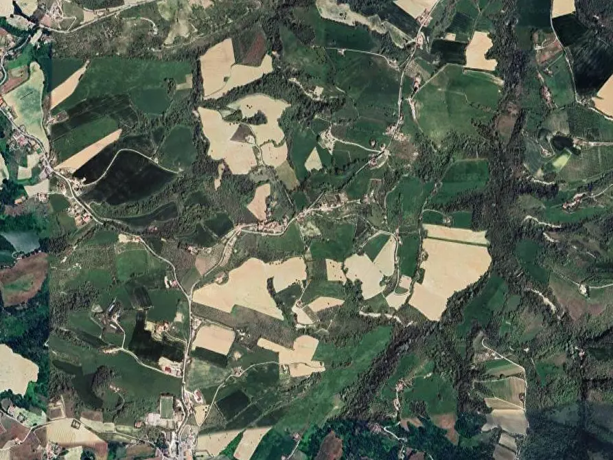 Immagine 14 di Stabile in vendita  in Contrada Solagna a Rapagnano