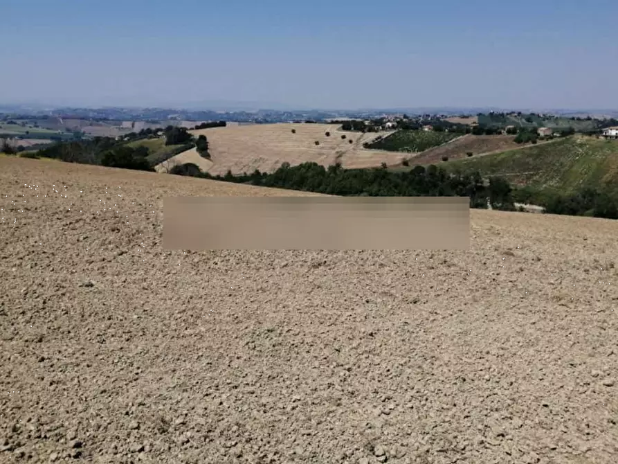 Immagine 1 di Terreno agricolo in vendita  in Colle Cerreto I a Montegiorgio