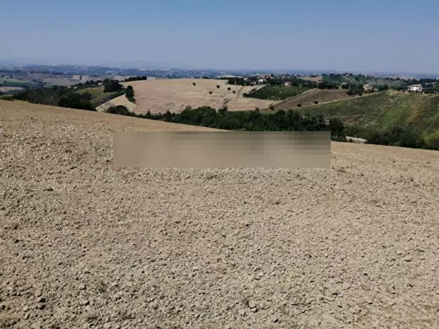 Immagine 2 di Terreno agricolo in vendita  in Colle Cerreto I a Montegiorgio