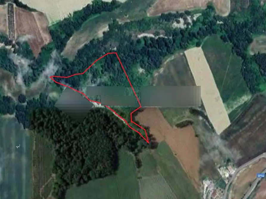 Immagine 3 di Terreno agricolo in vendita  in Colle Cerreto I a Montegiorgio