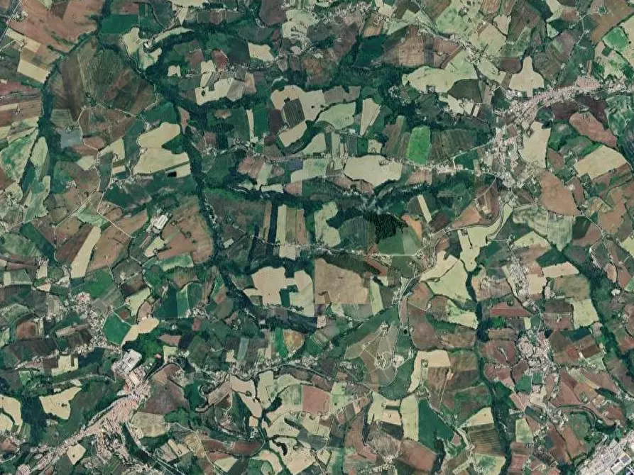 Immagine 5 di Terreno agricolo in vendita  in Colle Cerreto I a Montegiorgio