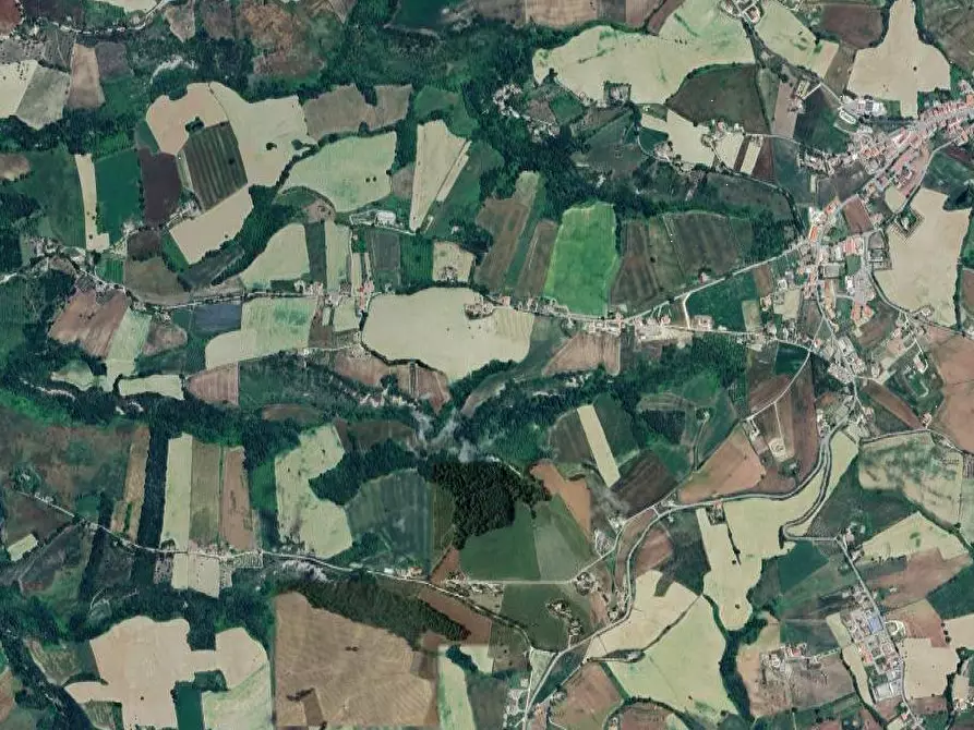 Immagine 6 di Terreno agricolo in vendita  in Colle Cerreto I a Montegiorgio