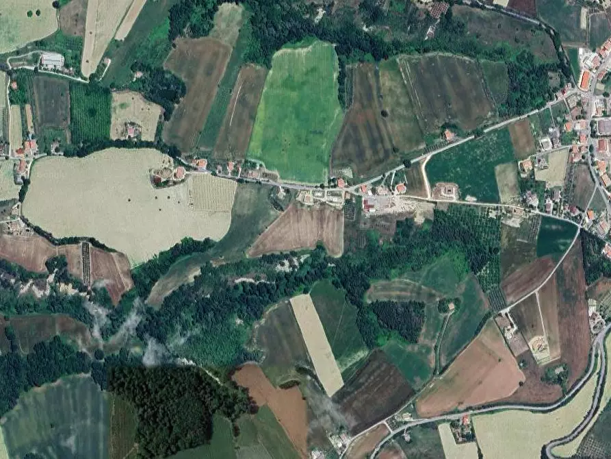 Immagine 7 di Terreno agricolo in vendita  in Colle Cerreto I a Montegiorgio