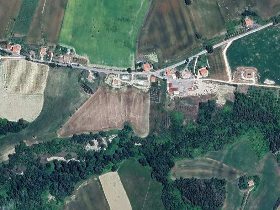 Immagine 8 di Terreno agricolo in vendita  in Colle Cerreto I a Montegiorgio