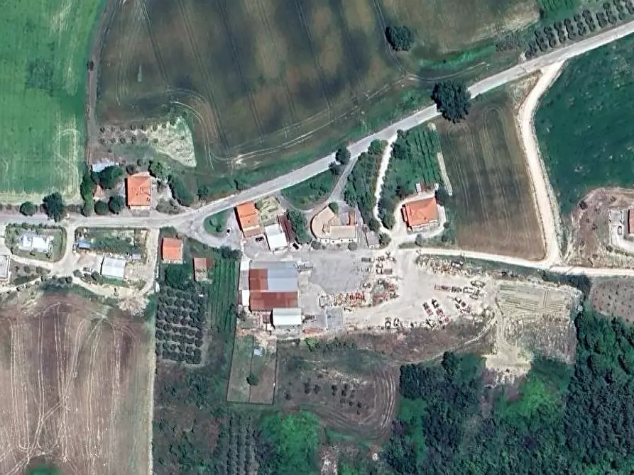 Immagine 9 di Terreno agricolo in vendita  in Colle Cerreto I a Montegiorgio