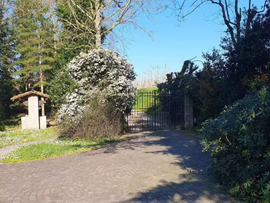 Immagine 6 di Villa in vendita  in Via Ravegnana a Ravenna