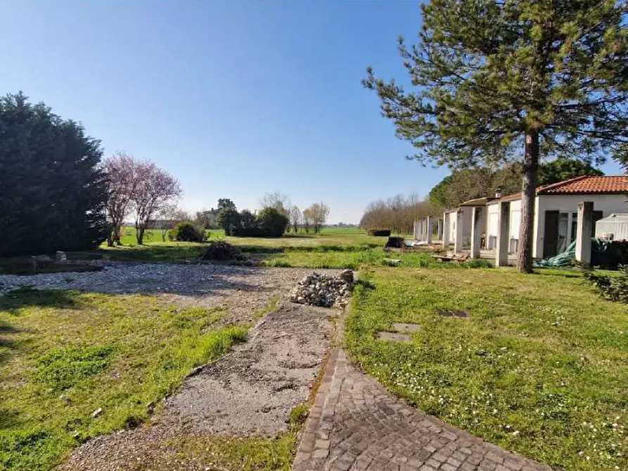 Immagine 8 di Villa in vendita  in Via Ravegnana a Ravenna