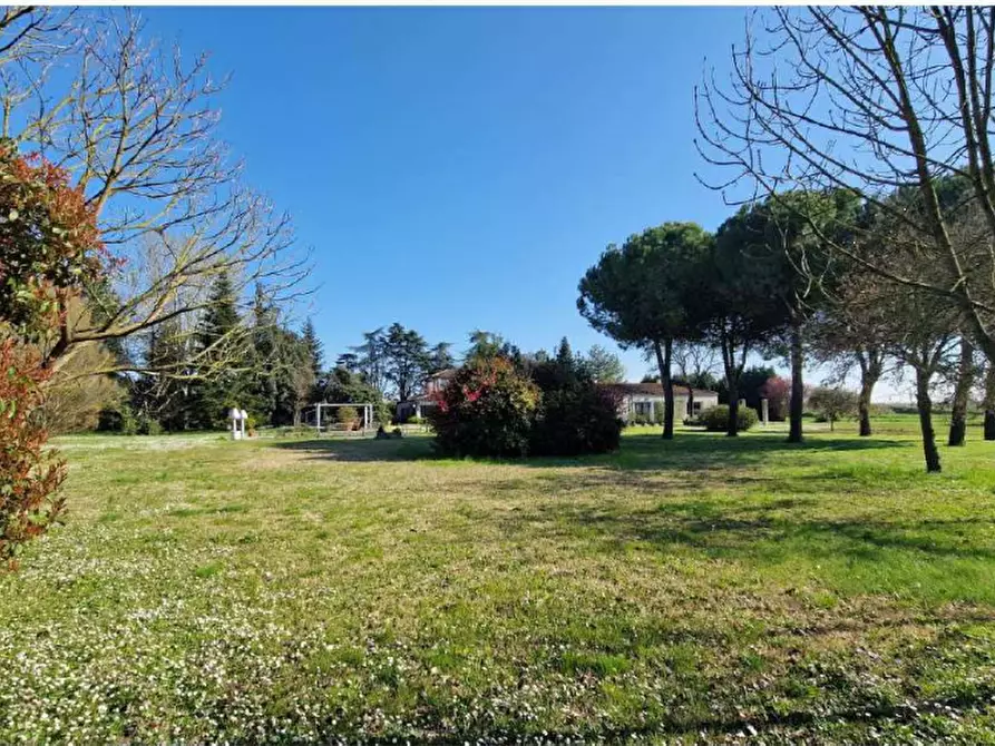 Immagine 10 di Villa in vendita  in Via Ravegnana a Ravenna