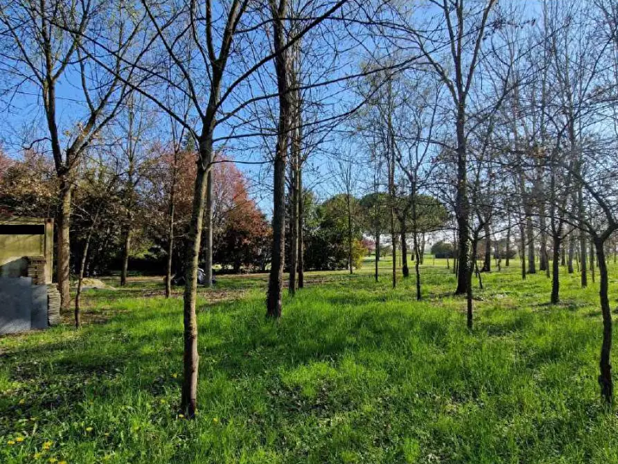 Immagine 15 di Villa in vendita  in Via Ravegnana a Ravenna