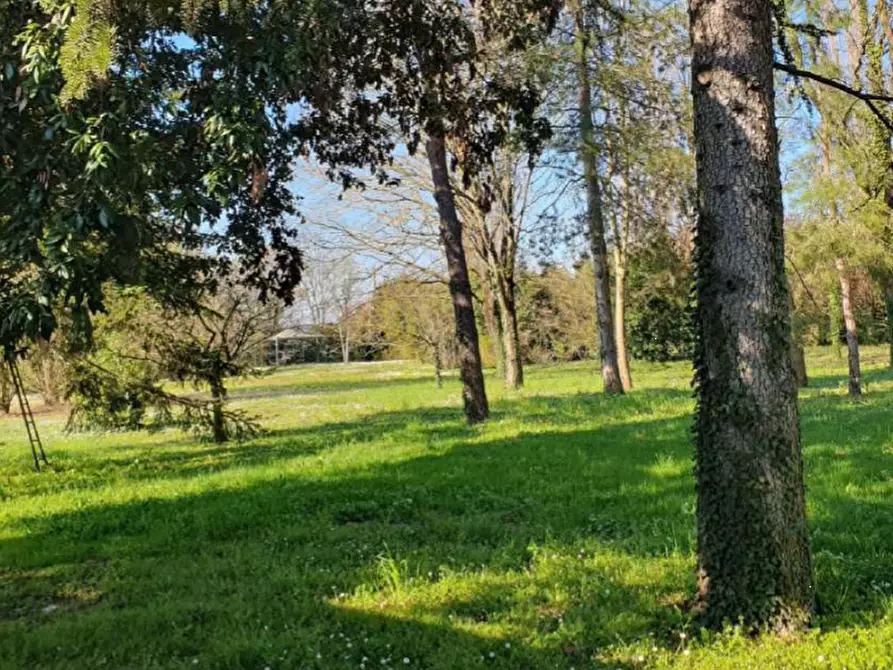 Immagine 17 di Villa in vendita  in Via Ravegnana a Ravenna