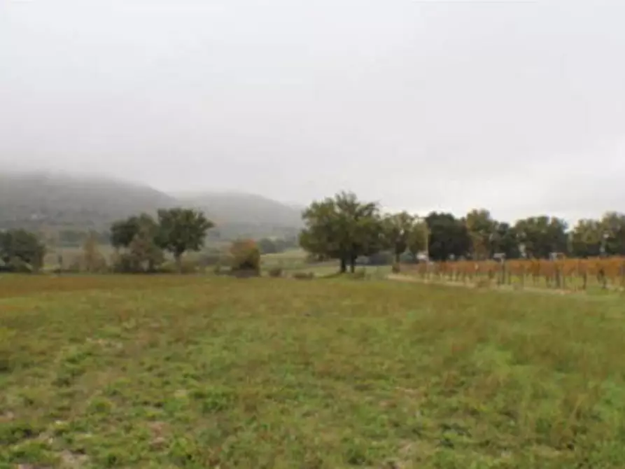 Immagine 2 di Terreno agricolo in vendita  in Via Fraz. Rigali a Gualdo Tadino