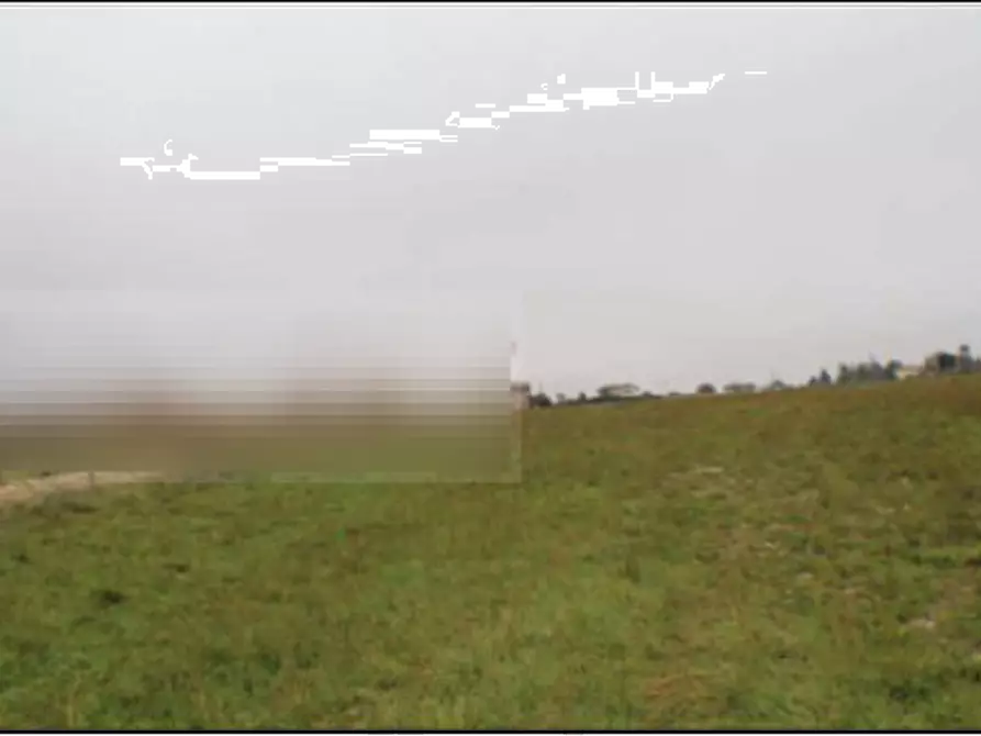 Immagine 3 di Terreno agricolo in vendita  in Via Fraz. Rigali a Gualdo Tadino