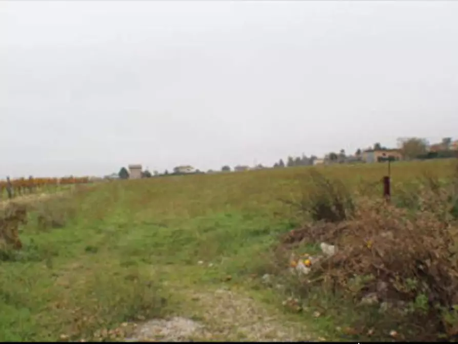 Immagine 6 di Terreno agricolo in vendita  in Via Fraz. Rigali a Gualdo Tadino