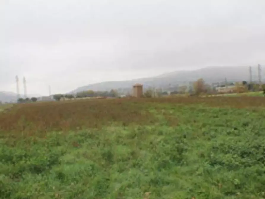 Immagine 6 di Terreno agricolo in vendita  in Via Loc. San Lazzaro a Gualdo Tadino
