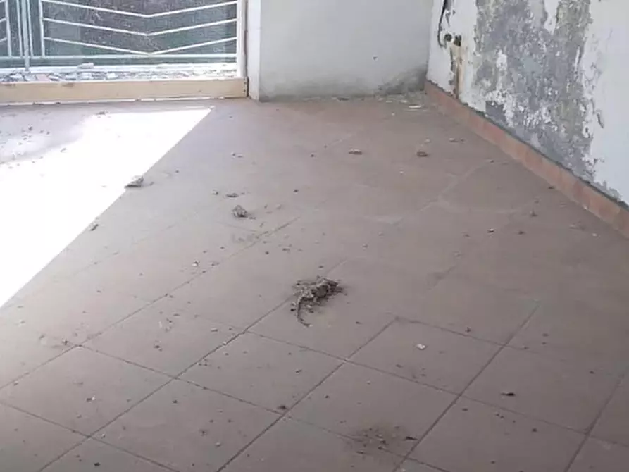 Immagine 13 di Stabile in vendita  in Via Angelo Pennoni a Gualdo Tadino