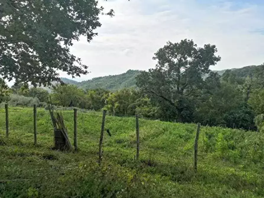 Immagine 1 di Terreno agricolo in vendita  in Località Il Saltino a Barberino Di Mugello