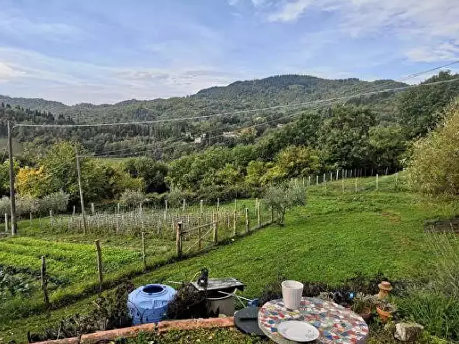 Immagine 2 di Terreno agricolo in vendita  in Località Il Saltino a Barberino Di Mugello
