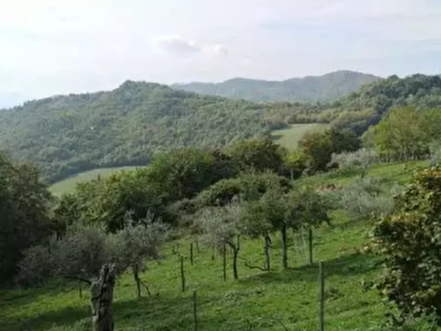 Immagine 4 di Terreno agricolo in vendita  in Località Il Saltino a Barberino Di Mugello