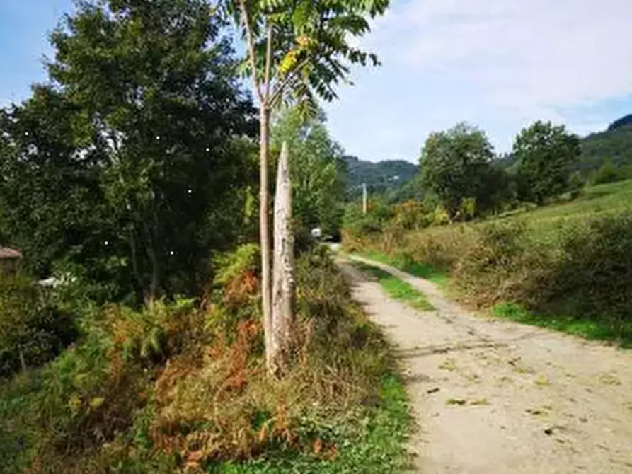 Immagine 5 di Terreno agricolo in vendita  in Località Il Saltino a Barberino Di Mugello