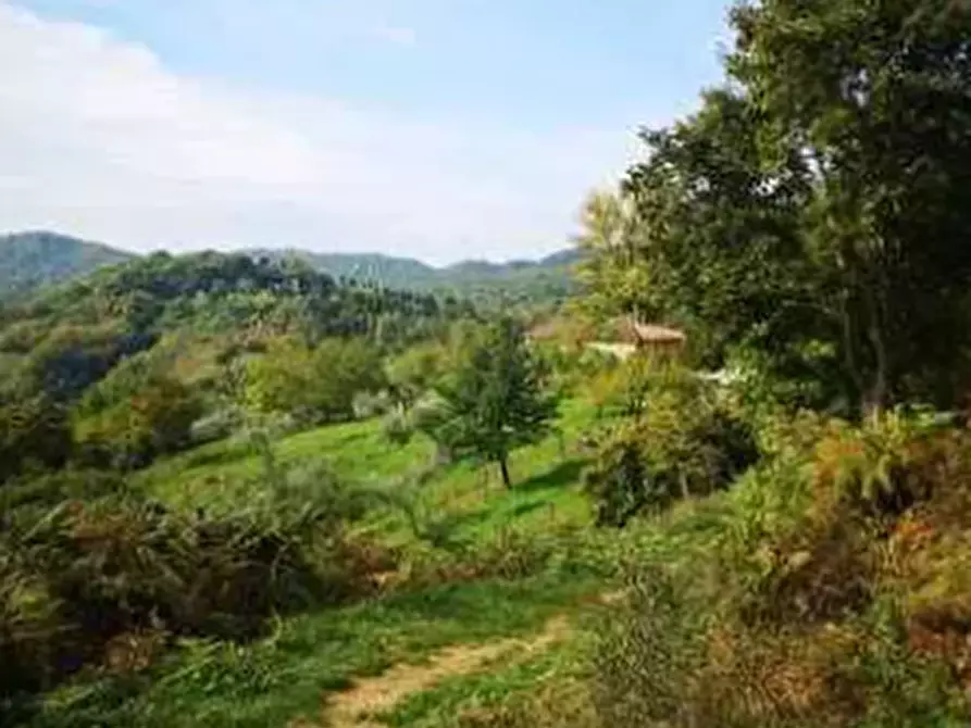 Immagine 6 di Terreno agricolo in vendita  in Località Il Saltino a Barberino Di Mugello