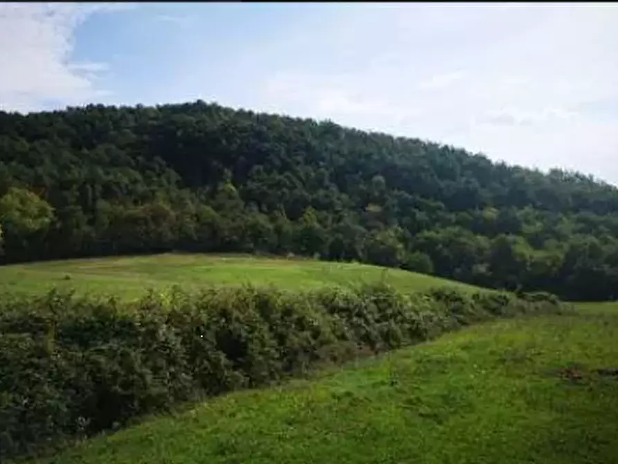 Immagine 7 di Terreno agricolo in vendita  in Località Il Saltino a Barberino Di Mugello