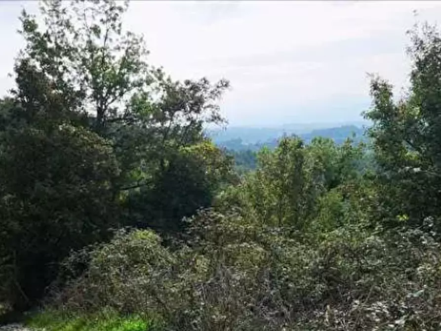Immagine 10 di Terreno agricolo in vendita  in Località Il Saltino a Barberino Di Mugello