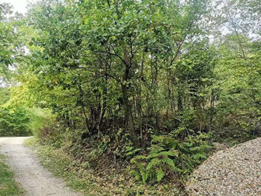 Immagine 14 di Terreno agricolo in vendita  in Località Il Saltino a Barberino Di Mugello