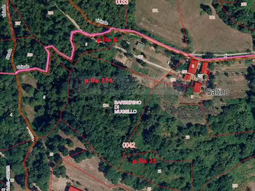 Immagine 16 di Terreno agricolo in vendita  in Località Il Saltino a Barberino Di Mugello