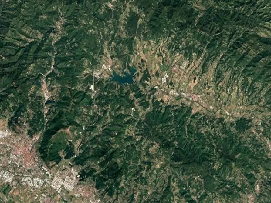 Immagine 17 di Terreno agricolo in vendita  in Località Il Saltino a Barberino Di Mugello