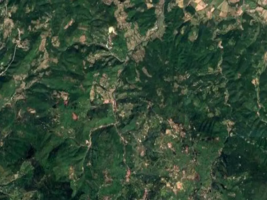 Immagine 19 di Terreno agricolo in vendita  in Località Il Saltino a Barberino Di Mugello