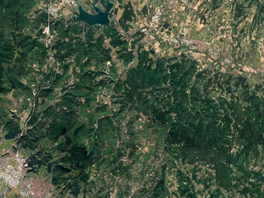 Immagine 20 di Terreno agricolo in vendita  in Località Il Saltino a Barberino Di Mugello