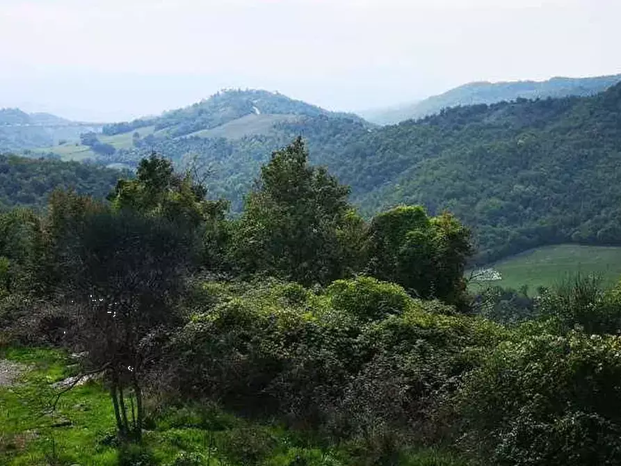 Immagine 1 di Terreno agricolo in vendita  in Località Le Caselle a Barberino Di Mugello