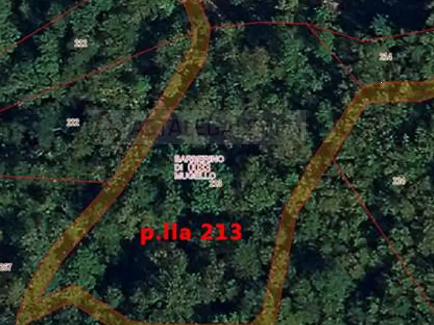 Immagine 2 di Terreno agricolo in vendita  in Località Le Caselle a Barberino Di Mugello