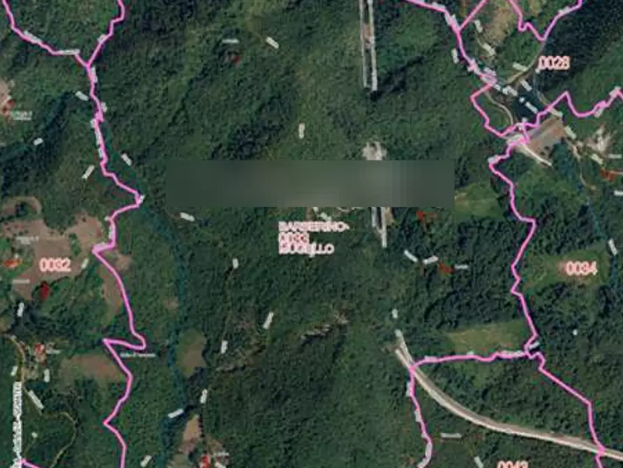 Immagine 3 di Terreno agricolo in vendita  in Località Le Caselle a Barberino Di Mugello