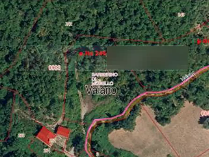 Immagine 4 di Terreno agricolo in vendita  in Località Le Caselle a Barberino Di Mugello