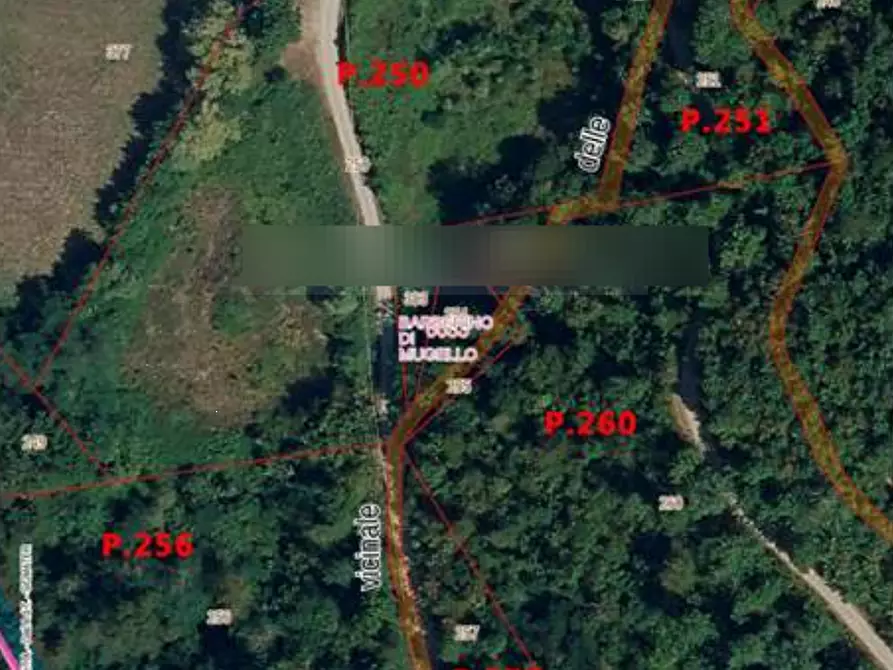 Immagine 5 di Terreno agricolo in vendita  in Località Le Caselle a Barberino Di Mugello