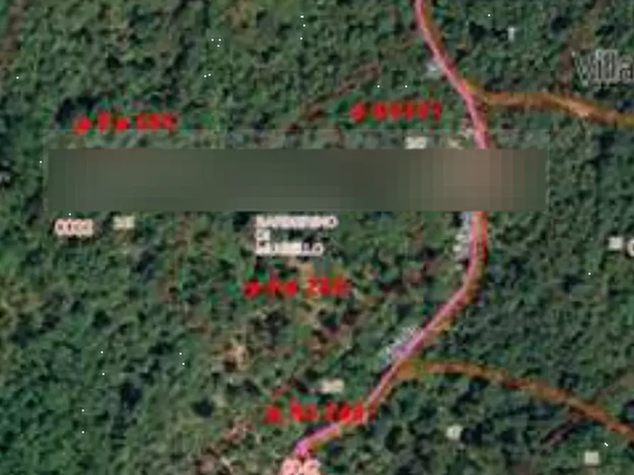 Immagine 6 di Terreno agricolo in vendita  in Località Le Caselle a Barberino Di Mugello