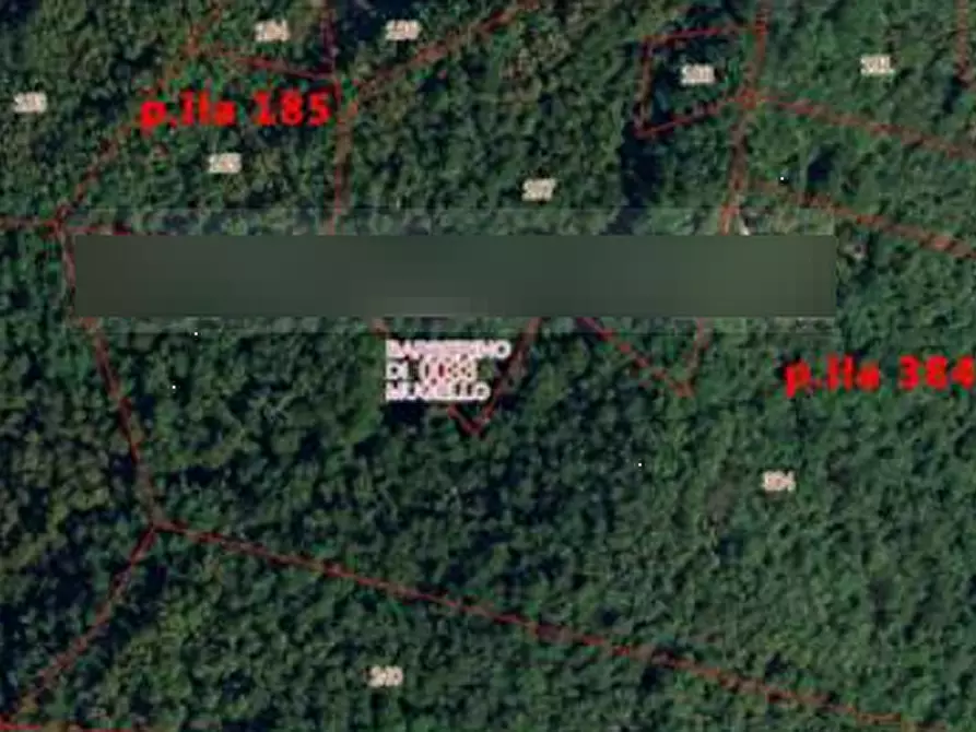 Immagine 7 di Terreno agricolo in vendita  in Località Le Caselle a Barberino Di Mugello